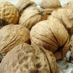 Manufacturers Exporters and Wholesale Suppliers of Dry Walnuts Nagpur Maharashtra