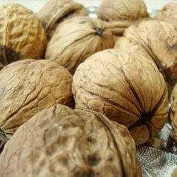 Dry Walnuts Manufacturer Supplier Wholesale Exporter Importer Buyer Trader Retailer in Nagpur Maharashtra India