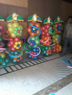 Service Provider of DUCK THEME PARTY  Delhi 