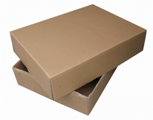 Duplex Packaging Box