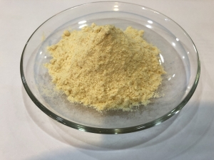 Manufacturers Exporters and Wholesale Suppliers of Freeze Dried Durian Powder Bangkok 