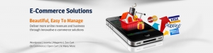 Service Provider of E-Commerce Solutions India chandigarh Punjab 