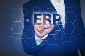 ERP Consulting Services Services in Mumbai Maharashtra India