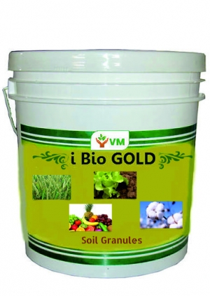 Manufacturers Exporters and Wholesale Suppliers of Zyme Granules (iBioGold) AHMEDABAD Gujarat Zyme Granules (iBioGold)