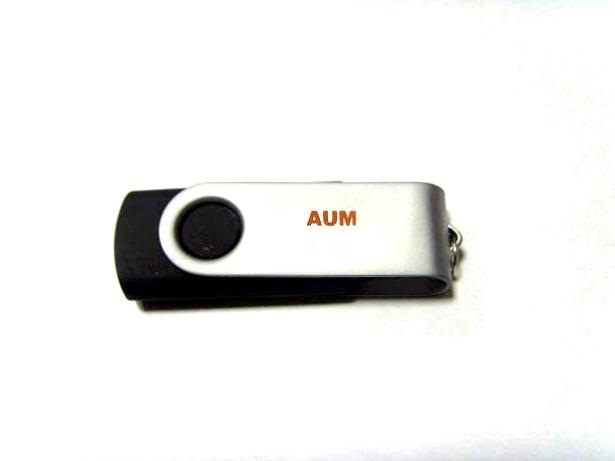 pen drive Manufacturer Supplier Wholesale Exporter Importer Buyer Trader Retailer in  Uttar Pradesh India