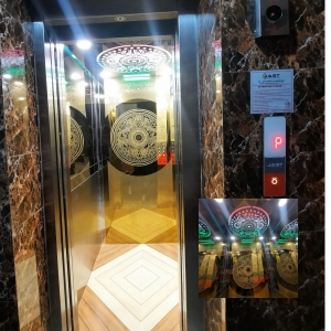 MACHINE ROOM LESS ELEVATOR Services in Delhi Delhi India