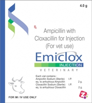 Manufacturers Exporters and Wholesale Suppliers of EMICLOX Injection AMBALA CITY Haryana