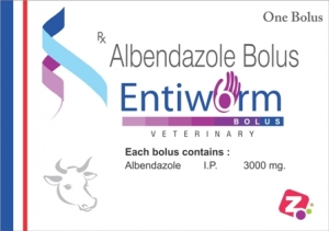 Manufacturers Exporters and Wholesale Suppliers of ENTIWORM BOLUS AMBALA CITY Haryana