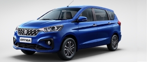 Gir Jungle Lion Travels