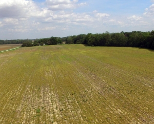 Estate Agent Farmers Land