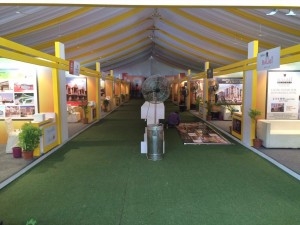 Exhibition Services in Chandigarh Chandigarh India