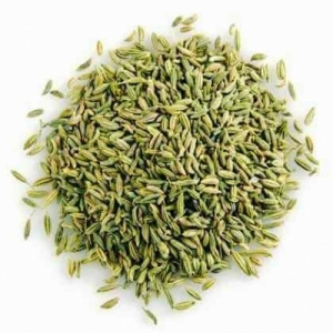 Manufacturers Exporters and Wholesale Suppliers of FENNEL SEEDS Vadodara Gujarat