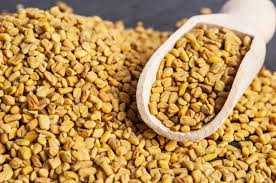 Manufacturers Exporters and Wholesale Suppliers of FENUGREEK SEEDS Nagpur Maharashtra