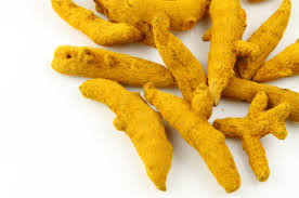 Manufacturers Exporters and Wholesale Suppliers of FINGER TURMERIC Nagpur Maharashtra