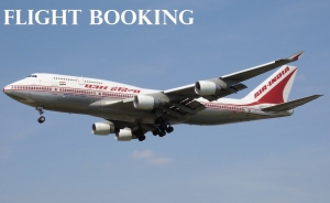 Service Provider of Flight Booking Bardez Goa