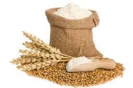 FLOUR MILL WHEAT Manufacturer Supplier Wholesale Exporter Importer Buyer Trader Retailer in Nagpur Maharashtra India