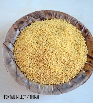 Foxtail Millet (botanical Name - Sataria Italica )
