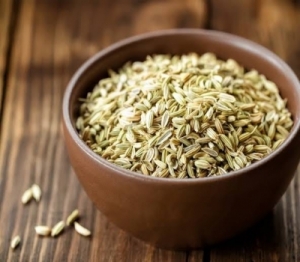 Manufacturers Exporters and Wholesale Suppliers of Fennel Seeds Gandhinagar Gujarat