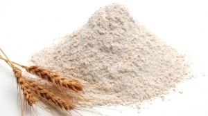 Manufacturers Exporters and Wholesale Suppliers of Fine White Powder Bran Bilaspur 