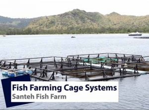 Fish Farming Cage System