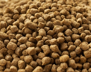 Fish Feed Manufacturer Supplier Wholesale Exporter Importer Buyer Trader Retailer in Nagpur Maharashtra India