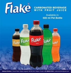 Flake Cfd