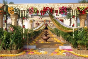 Service Provider of Flower Decorators Bikaner Rajasthan 