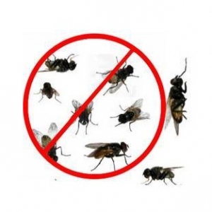 Service Provider of Fly Control Guwahati Assam