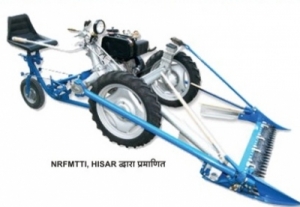 Fodder Harvester Manufacturer Supplier Wholesale Exporter Importer Buyer Trader Retailer in Alwar Rajasthan India