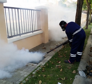 Fogging Services Services in Gurgaon Haryana India