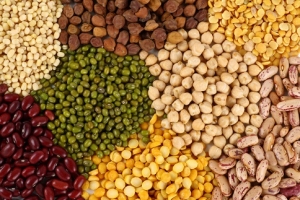 Manufacturers Exporters and Wholesale Suppliers of Food Pulses Gandhinagar Gujarat
