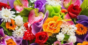 Fresh Flowers Manufacturer Supplier Wholesale Exporter Importer Buyer Trader Retailer in Vadodara Gujarat India