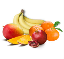 Fresh Fruits Manufacturer Supplier Wholesale Exporter Importer Buyer Trader Retailer in Pune Maharashtra India