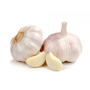 Manufacturers Exporters and Wholesale Suppliers of Fresh Garlic Tiruvallur Tamil Nadu