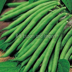 Fresh Green Beans