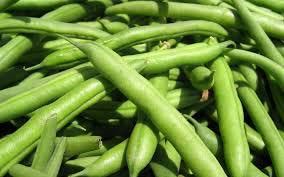 Fresh Green Beans Manufacturer Supplier Wholesale Exporter Importer Buyer Trader Retailer in Pune Maharashtra India