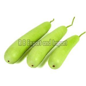 Fresh Green Bottle Gourd Manufacturer Supplier Wholesale Exporter Importer Buyer Trader Retailer in Kolkata West Bengal India