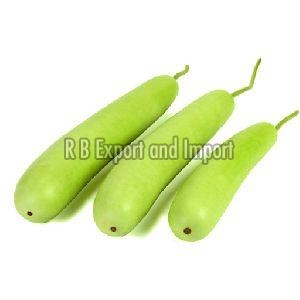 Fresh Green Bottle Gourd