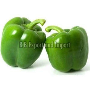 Fresh Green Capsicum