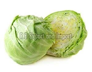 Fresh Natural Cabbage