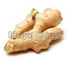 Fresh Natural Ginger Manufacturer Supplier Wholesale Exporter Importer Buyer Trader Retailer in Kolkata West Bengal India