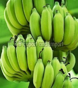 Manufacturers Exporters and Wholesale Suppliers of Fresh Natural Green Banana Kolkata West Bengal