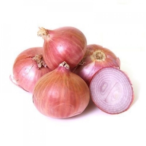 Manufacturers Exporters and Wholesale Suppliers of Fresh Onion Hooghly West Bengal