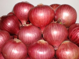 Fresh Onions