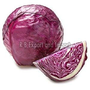 Manufacturers Exporters and Wholesale Suppliers of Fresh Red Cabbage Kolkata West Bengal