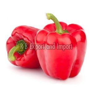 Fresh Red Capsicum Manufacturer Supplier Wholesale Exporter Importer Buyer Trader Retailer in Kolkata West Bengal India