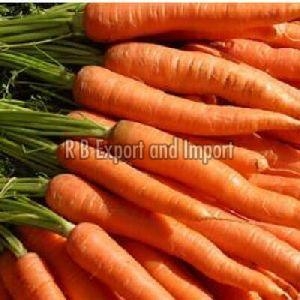 Fresh Red Carrot