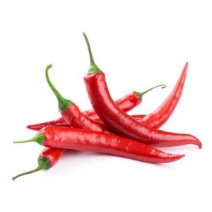 Fresh Red Chilli Manufacturer Supplier Wholesale Exporter Importer Buyer Trader Retailer in Tiruvallur Tamil Nadu India