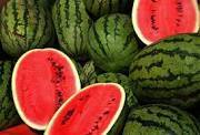 Manufacturers Exporters and Wholesale Suppliers of Fresh Watermelon Chennai Tamil Nadu