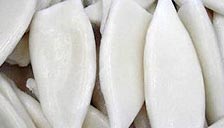 Frozen Squid Tubes Manufacturer Supplier Wholesale Exporter Importer Buyer Trader Retailer in Bangalore Karnataka India